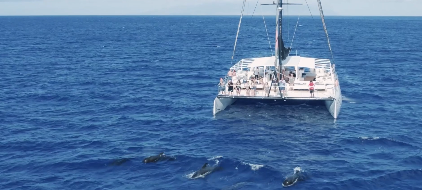 Five Star Catamaran Tenerife